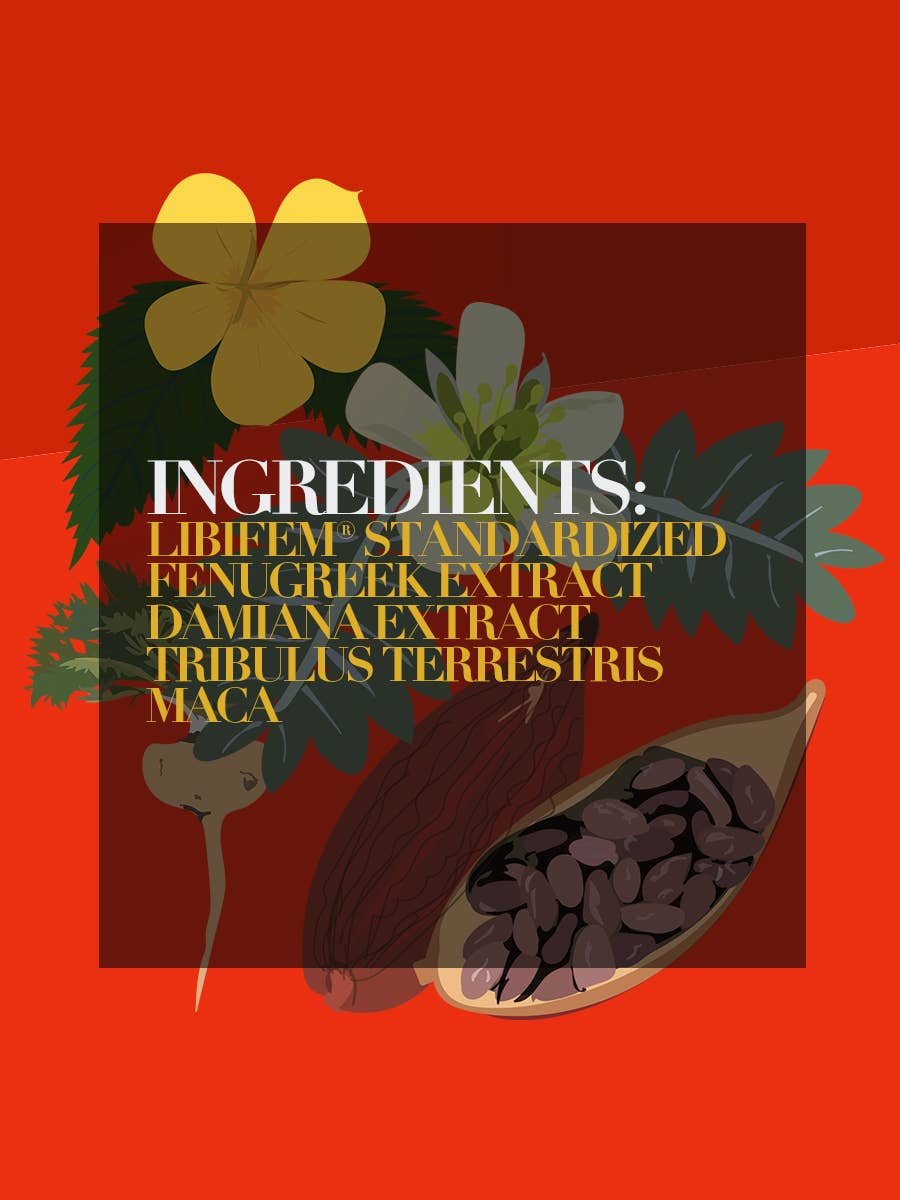 Brainy Chocolate - Focus Formula - Zesty Orange