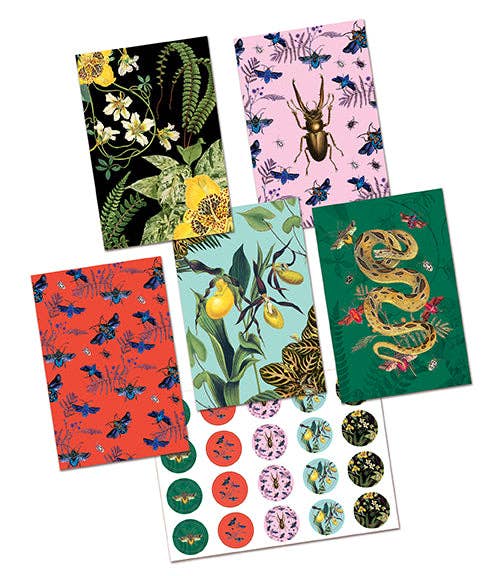 Botanical Card Portfolio Set (Set of 20 Cards)