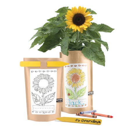 Sunflower Garden in a Bag
