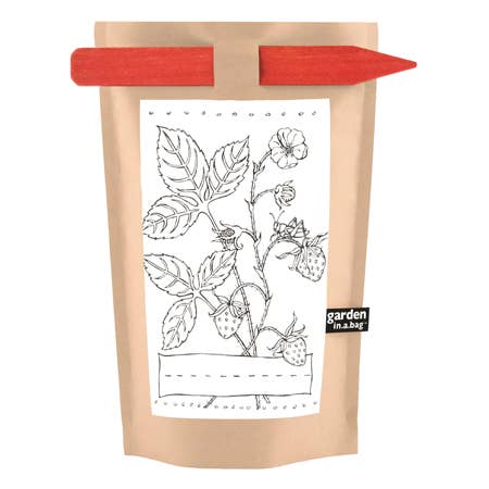 Kids Garden in a Bag | Strawberry | Learning Easter Gift