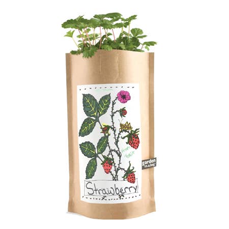 Kids Garden in a Bag | Strawberry | Learning Easter Gift