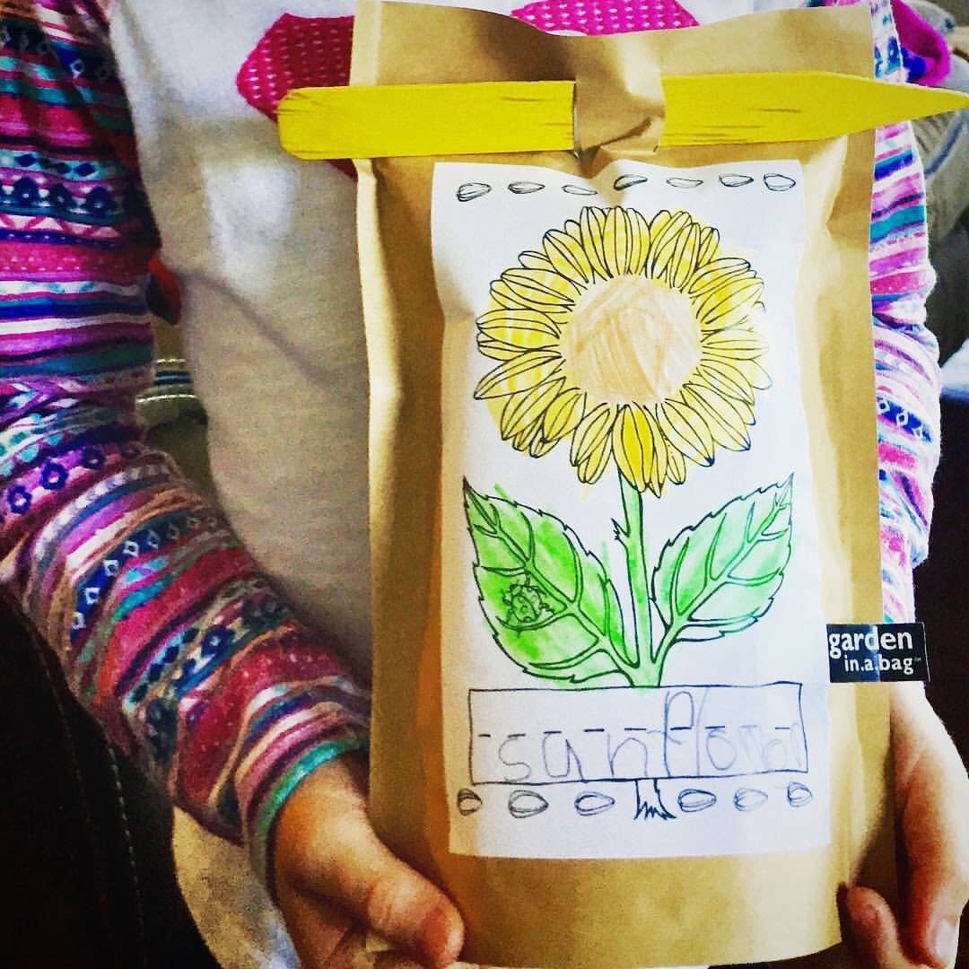Sunflower Garden in a Bag