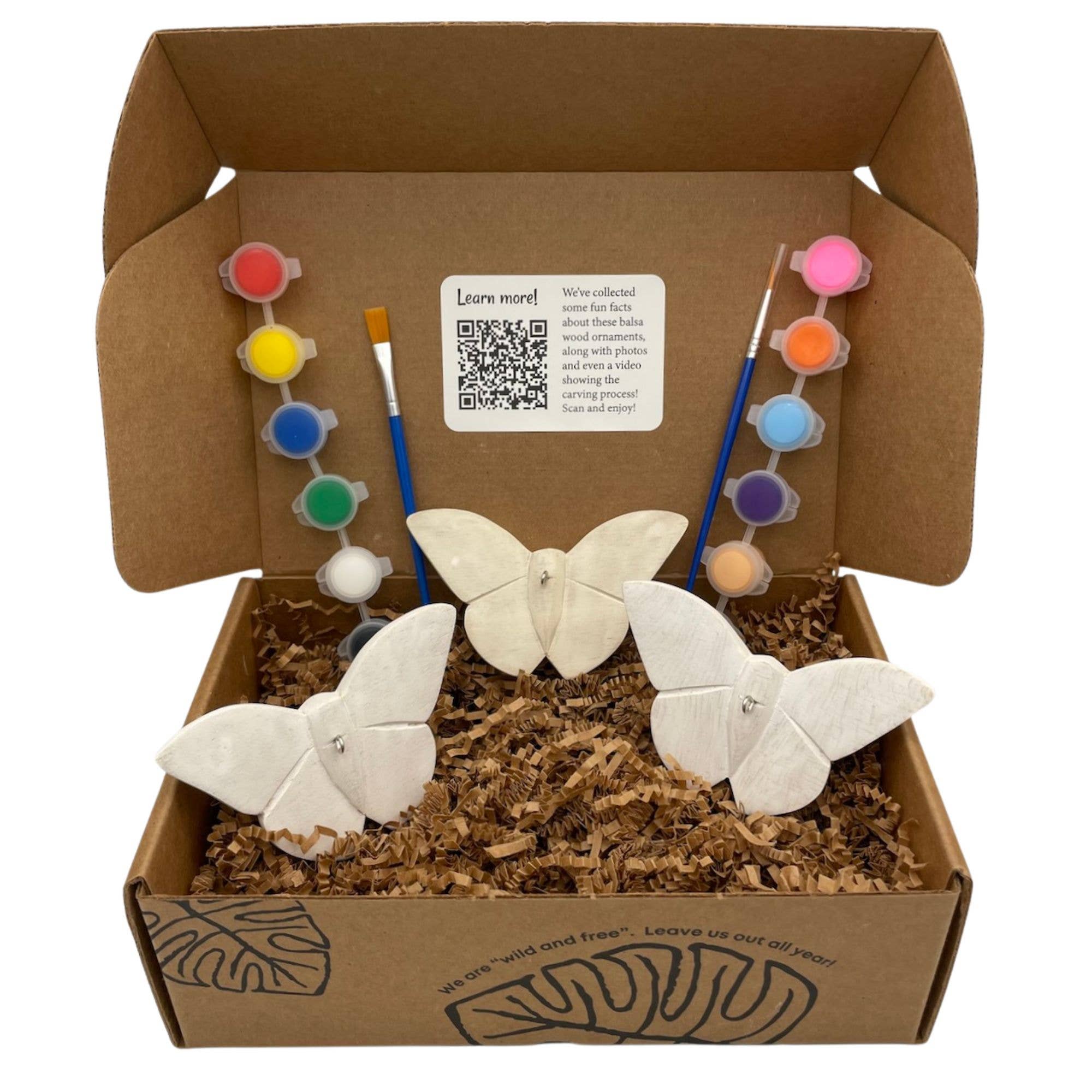 Butterfly Paint Your Own Ornament Kit