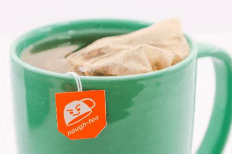 Loose Leaf Paper Tea Bags