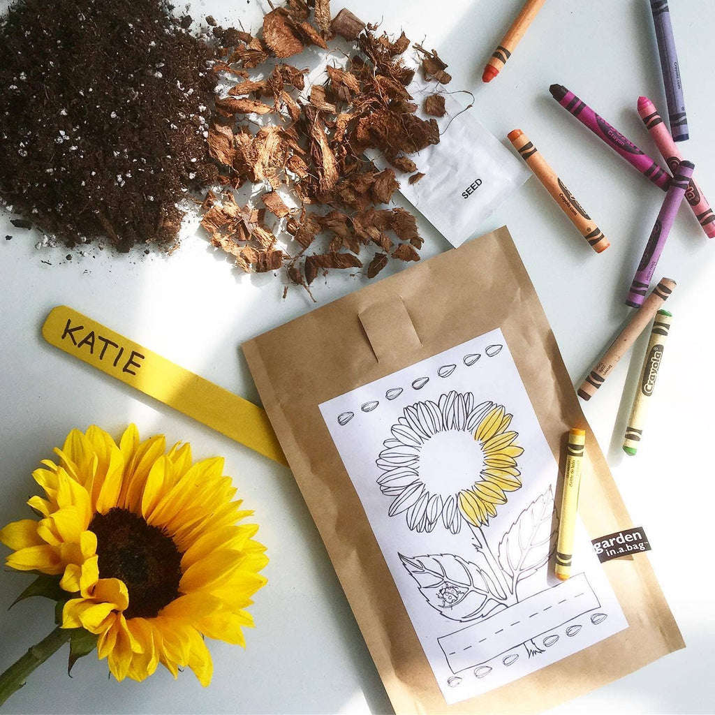 Sunflower Garden in a Bag