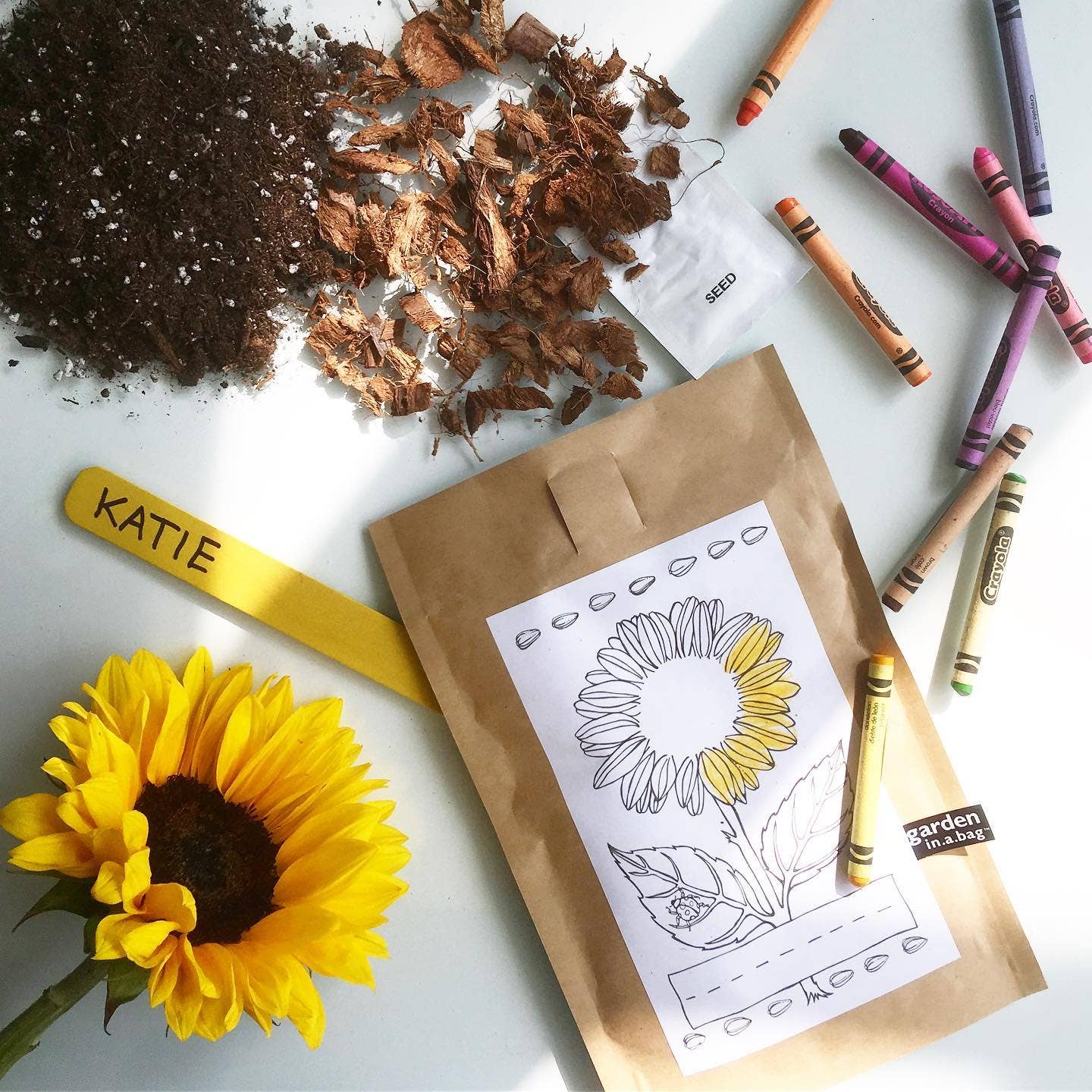 Sunflower Garden in a Bag