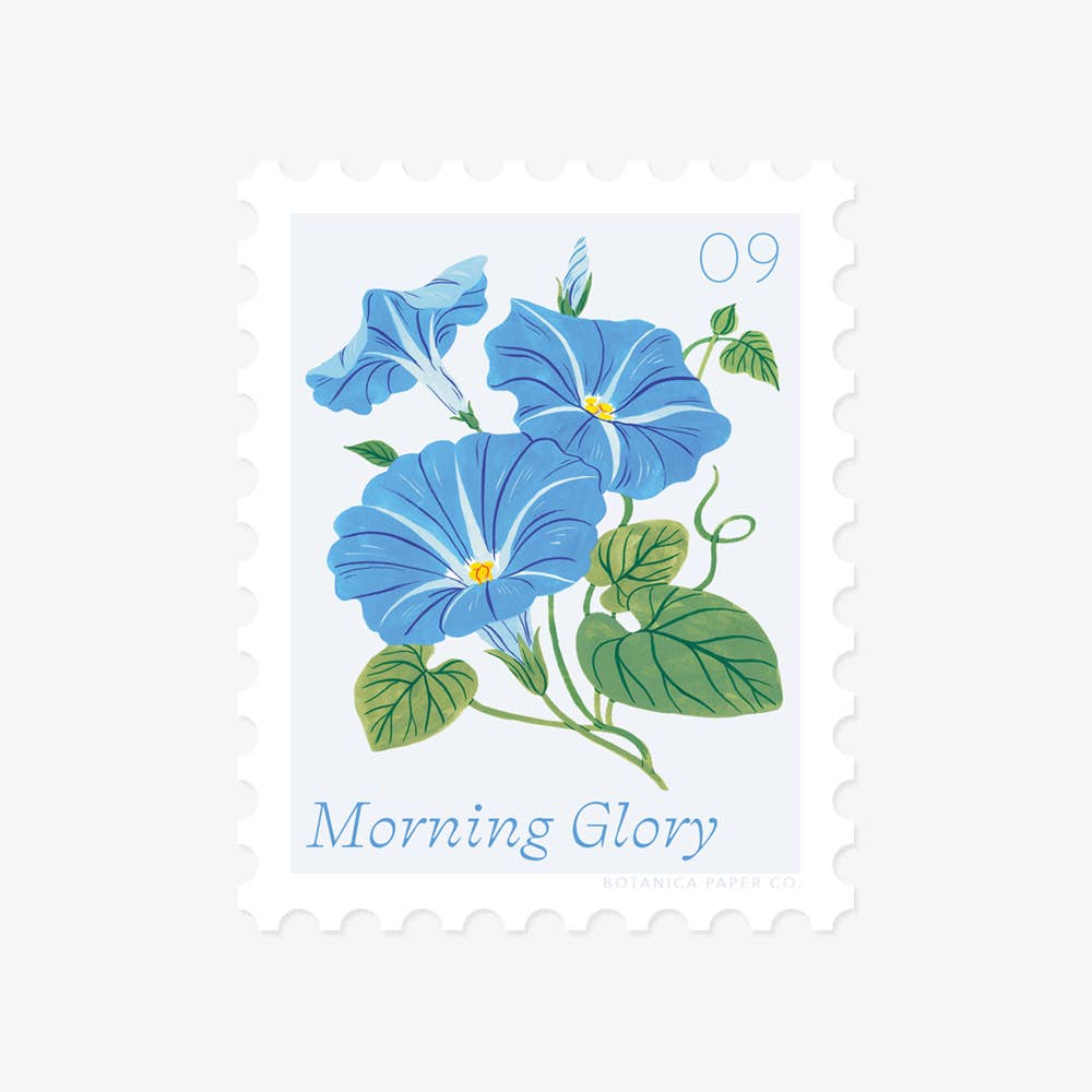 MORNING GLORY, SEPTEMBER FLOWER | STAMP-STYLE VINYL STICKER