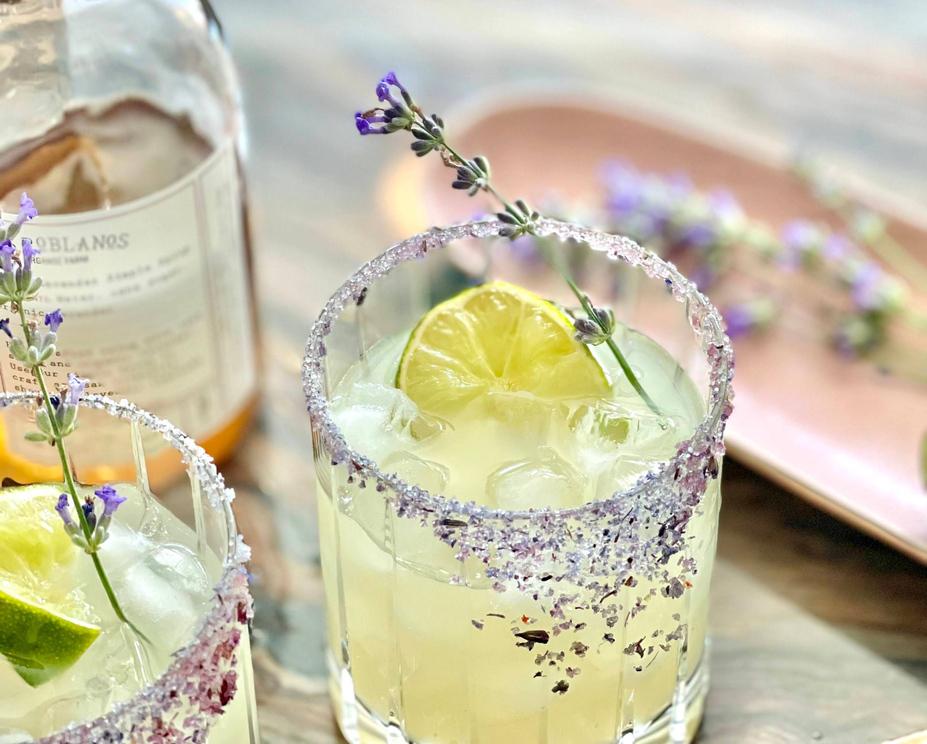 Cocktail Set Case - French Lavender