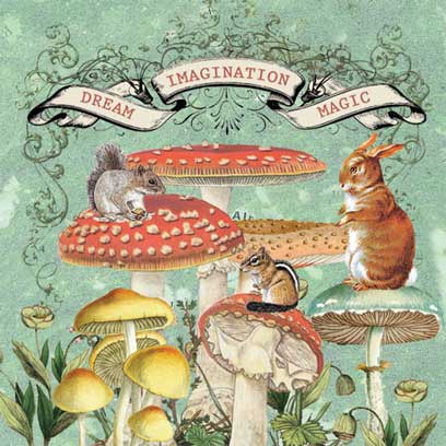 Deam Imagination Magic Mushrooms Magnet