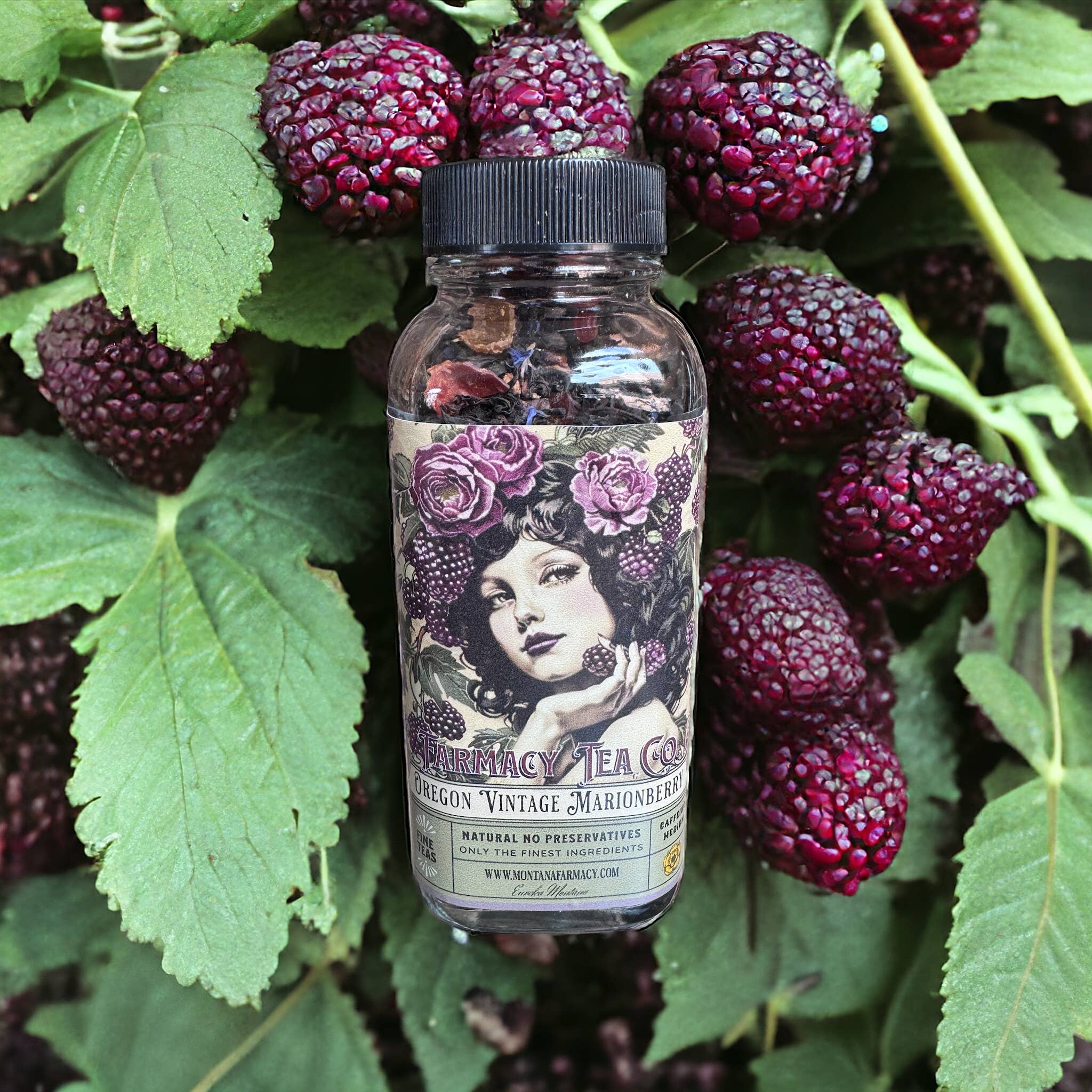 Vintage Oregon Famous MarionBerry  Prairie to Portland Tea