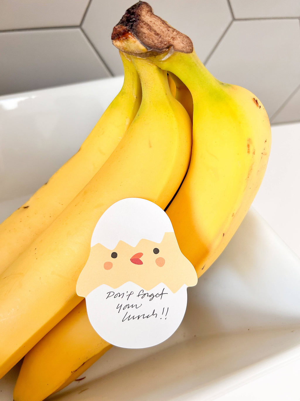 Chick Die Cut Sticky Notes