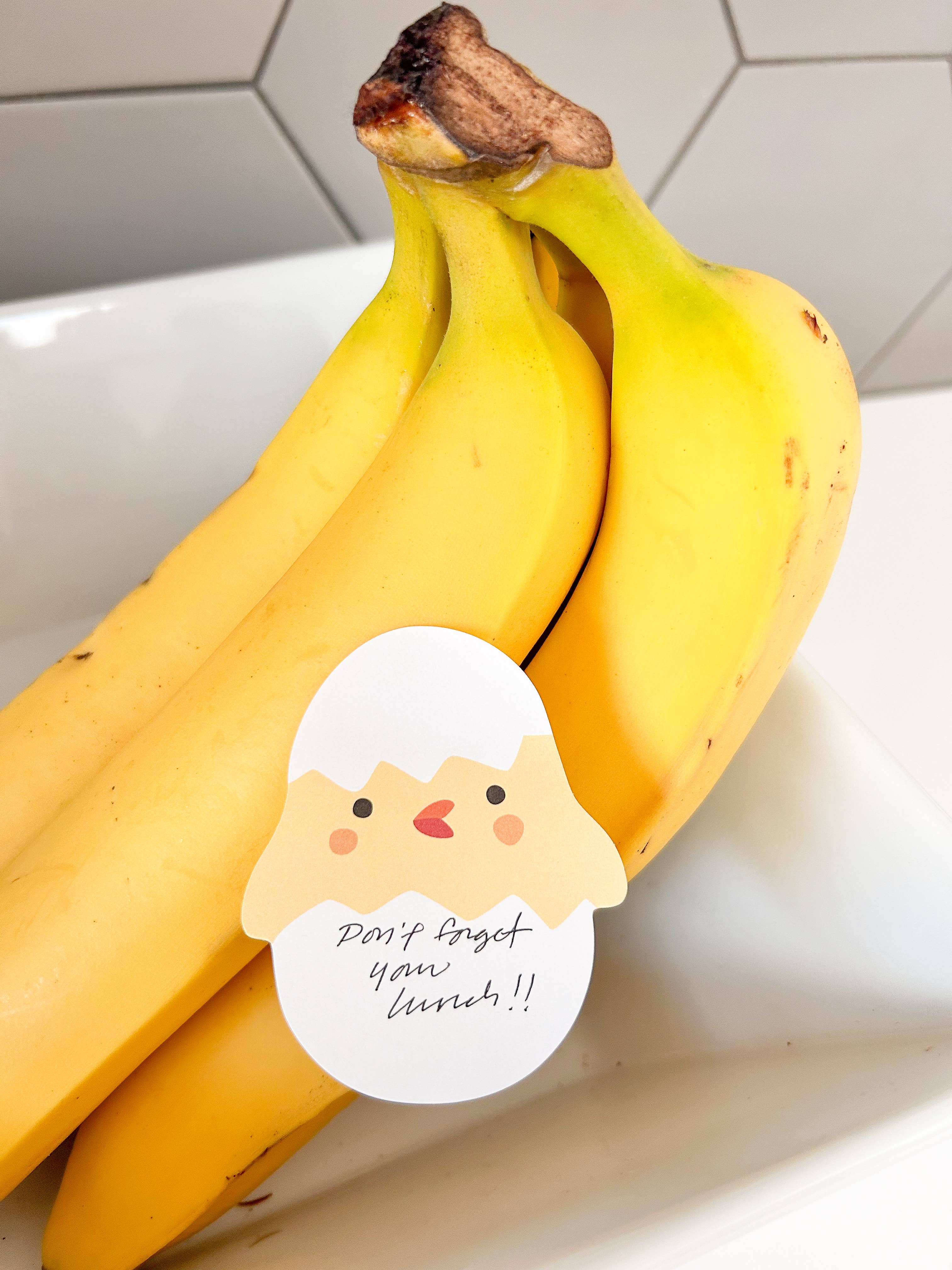 Chick Die Cut Sticky Notes
