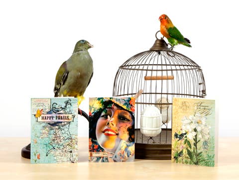 Attempt The Absurd Greeting Card