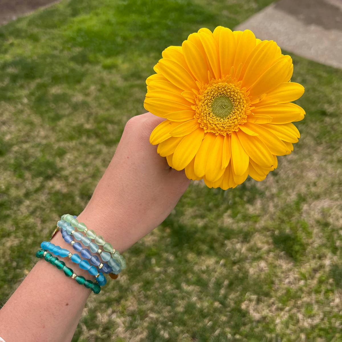 December • Birth Flower Bracelet