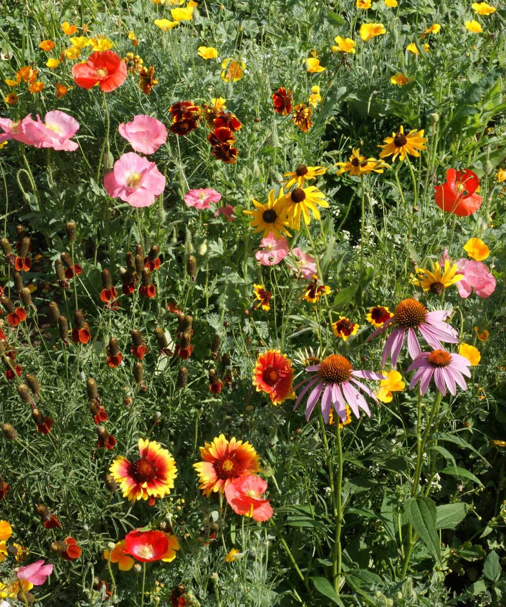 Garden Sprinkles Pail