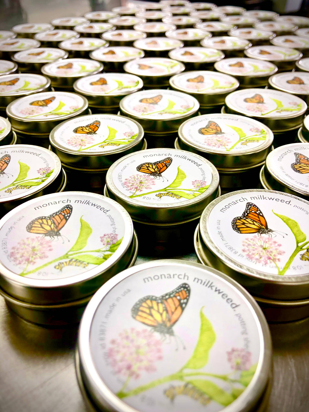 Monarch Milkweed