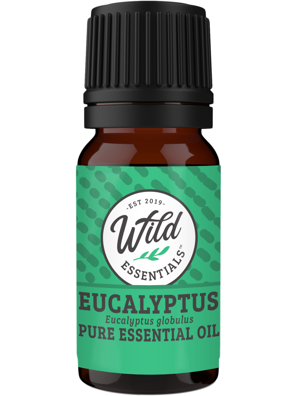 Essential Oil - Eucalyptus - 10ml Bottle