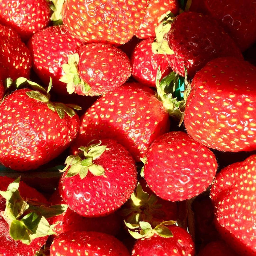 Kids Garden in a Bag | Strawberry | Learning Easter Gift