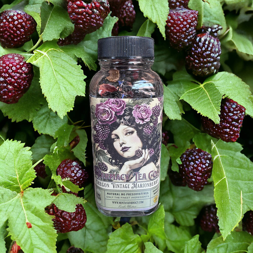 Vintage Oregon Famous MarionBerry  Prairie to Portland Tea